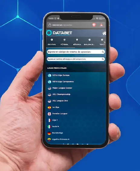 databet app